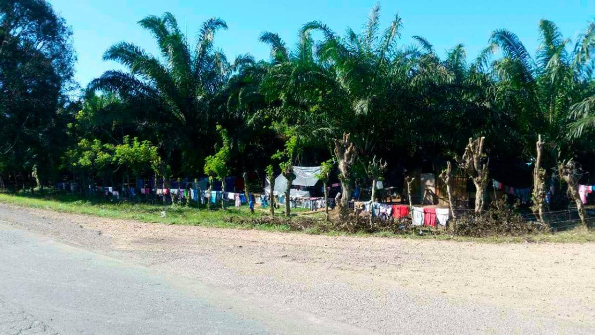 Gobierno inicia diálogo para frenar invasiones de fincas