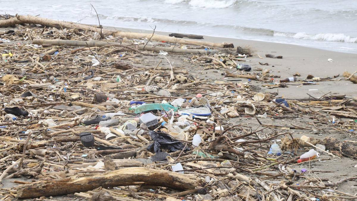 Va a venir primero nuestro señor Jesucristo antes que deje de llegar basura de Guatemala