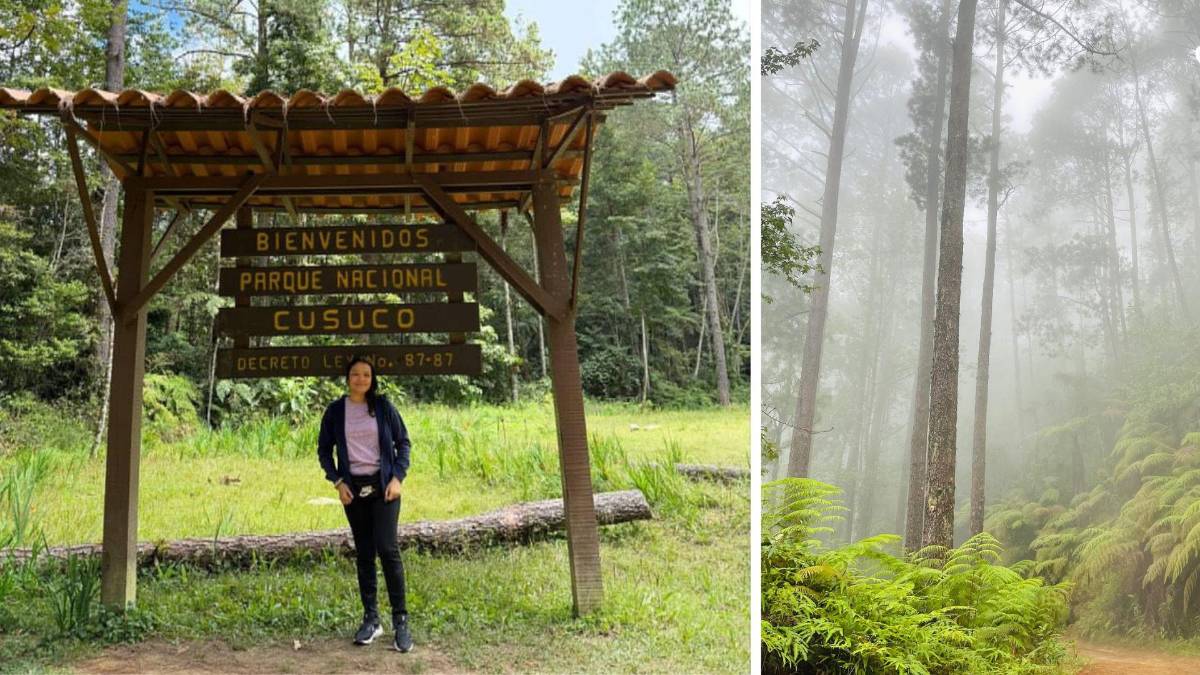 Subir al Cusuco: una aventura que todo sampedrano debe vivir