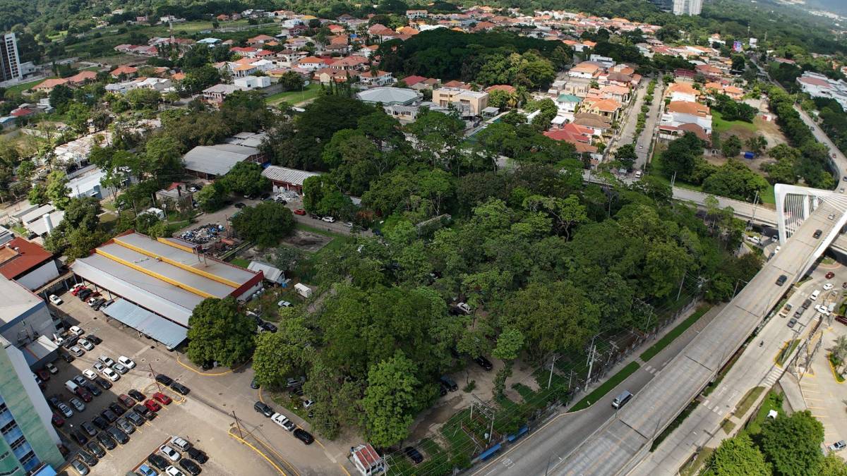 “Prometieron ocho hospitales... y en dos ni siquiera pusieron la primera piedra”