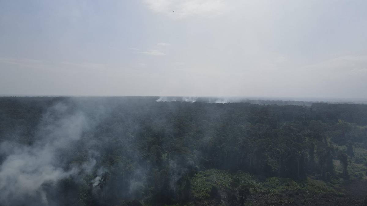 Piden investigar incendio en zona núcleo de Cuero y Salado
