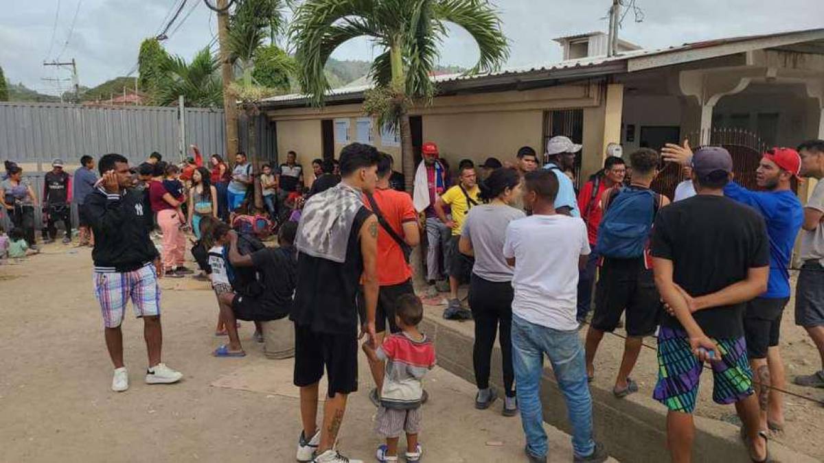 Alice Shackelford, coordinadora residente de la Organización de las Naciones Unidas (ONU) en Honduras, se refirió a la crisis migratoria y señaló que es una situación tensa la que se vive en el país por la movilidad increíble de migrantes que vienen desde el sur del continente con el propósito de llegar a EUA.