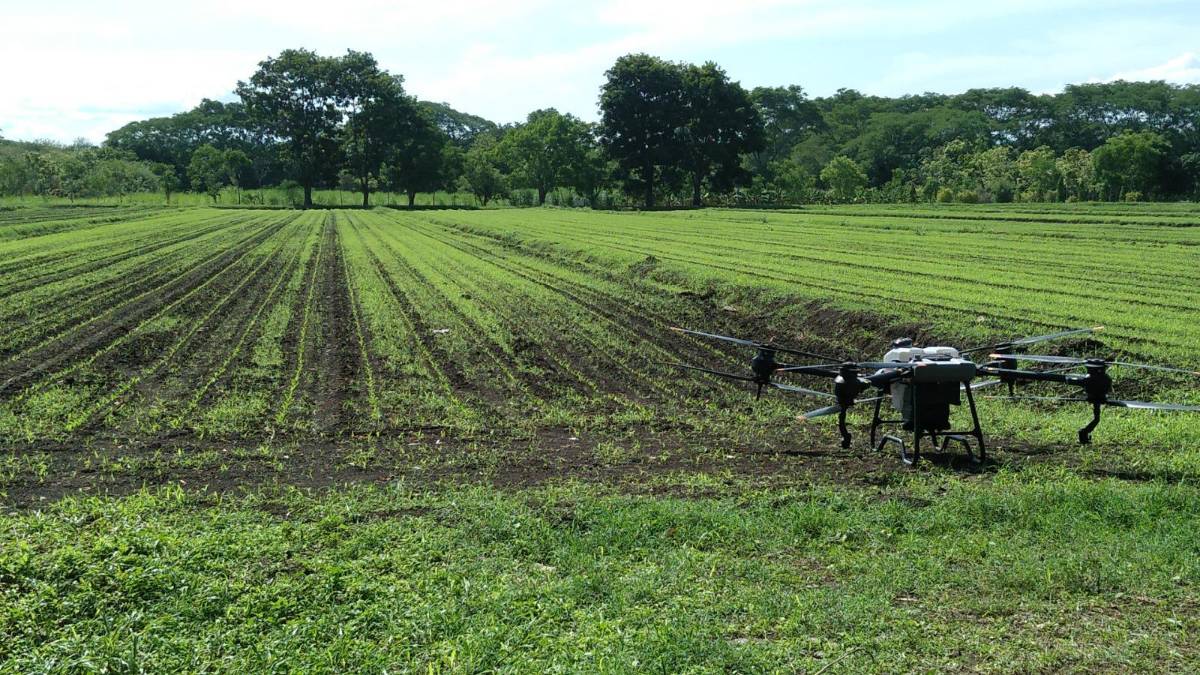 Agricultura hondureña comienza a utilizar drones inteligentes