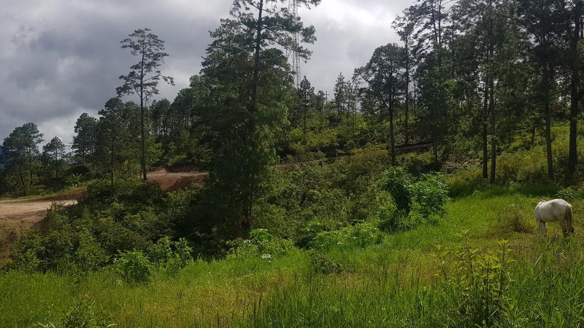 El terreno está ubicado a unos tres minutos de las oficinas municipales de Protección, Santa Bárbara.