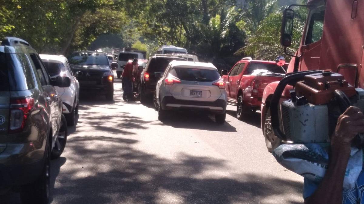 Son kilómetros de vehículos en fila que están parados por el bloqueo de la carretera.