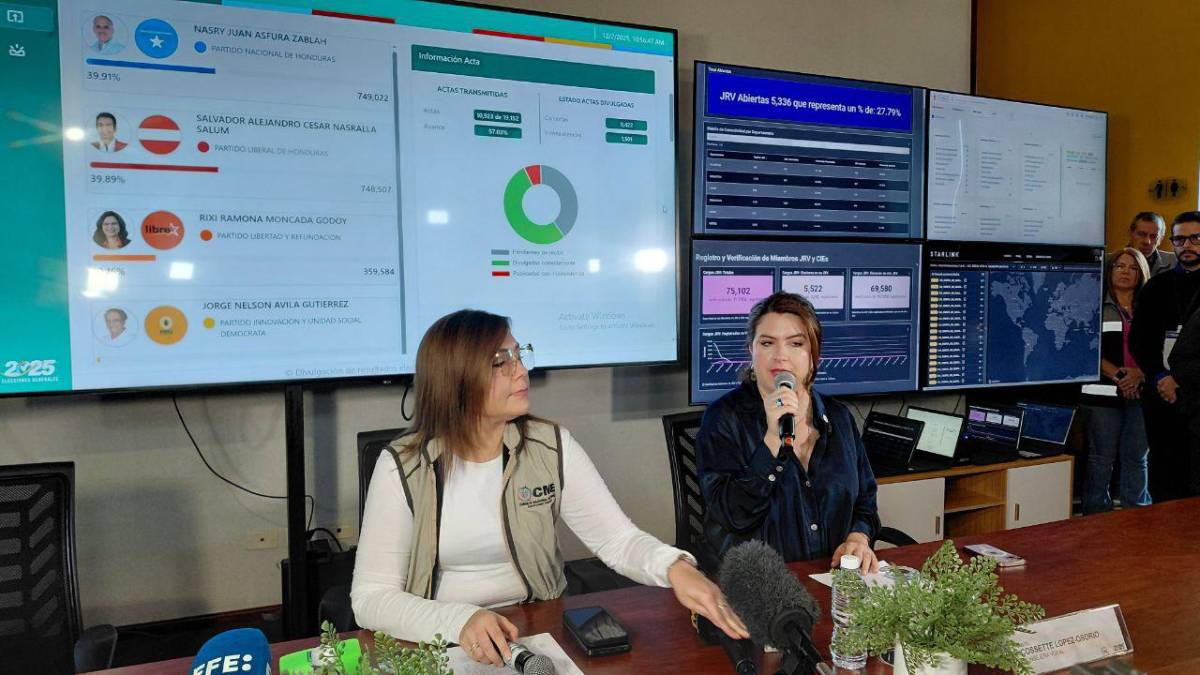 Las ocho frases más relevantes del CNE tras paralización de resultados