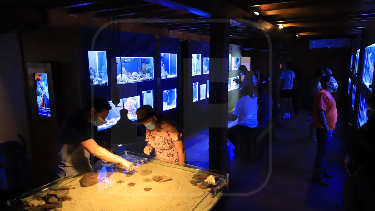 $!Tela Marine, uno de los atractivos de Tela.