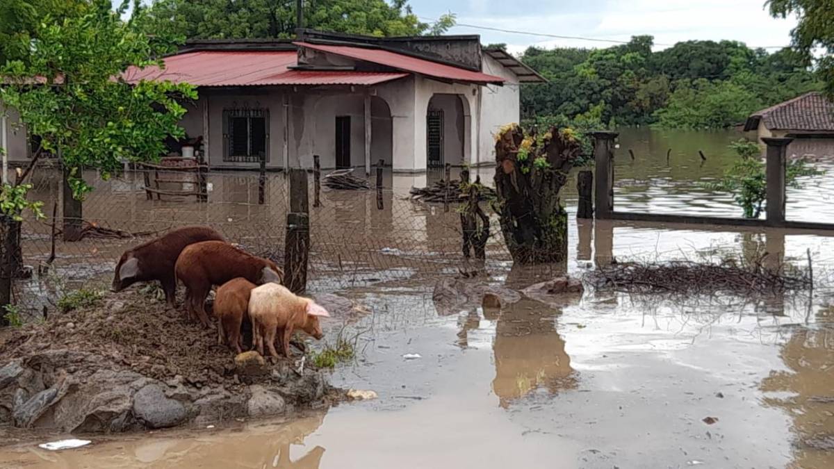 El agua inundó cientos de hectáreas en el sur hondureño.