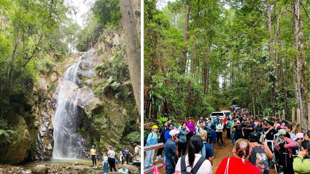 Subir al Cusuco: una aventura que todo sampedrano debe vivir