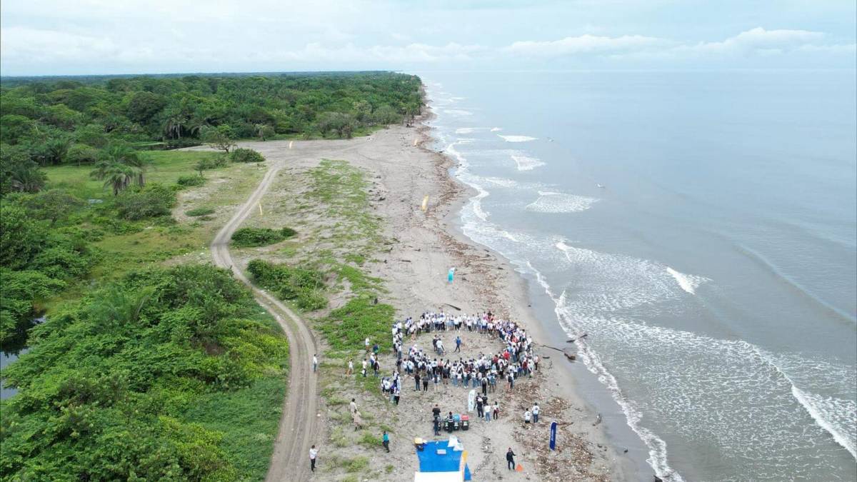 Va a venir primero nuestro señor Jesucristo antes que deje de llegar basura de Guatemala