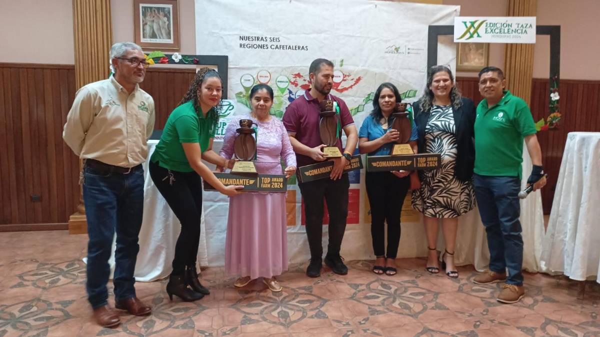 Café hondureño marca un nuevo récord al venderse en $136 la libra