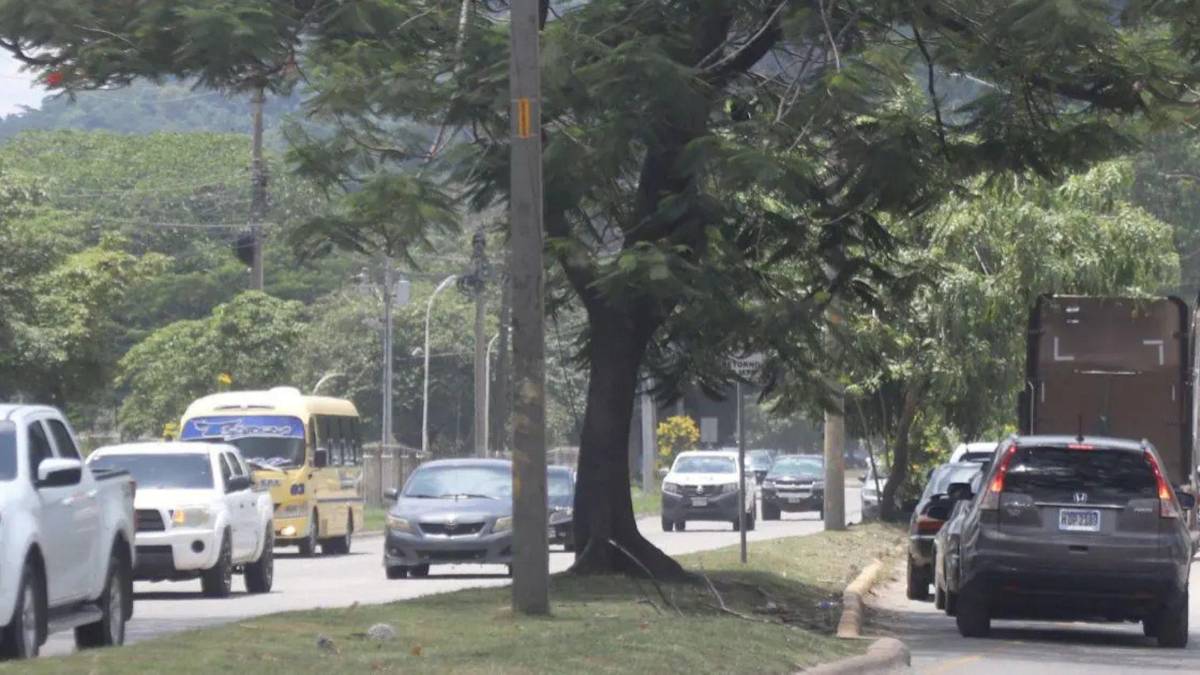 ¿Qué es el Arco Este, la vía que busca sacar a las rastras de San Pedro Sula?