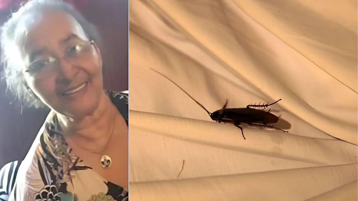 Anciana fue devorada por cucarachas en su cama: “Estaba pegada”