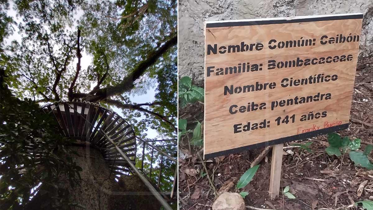 San Francisco es uno de los pueblos más bellos y tranquilos de Cortés.