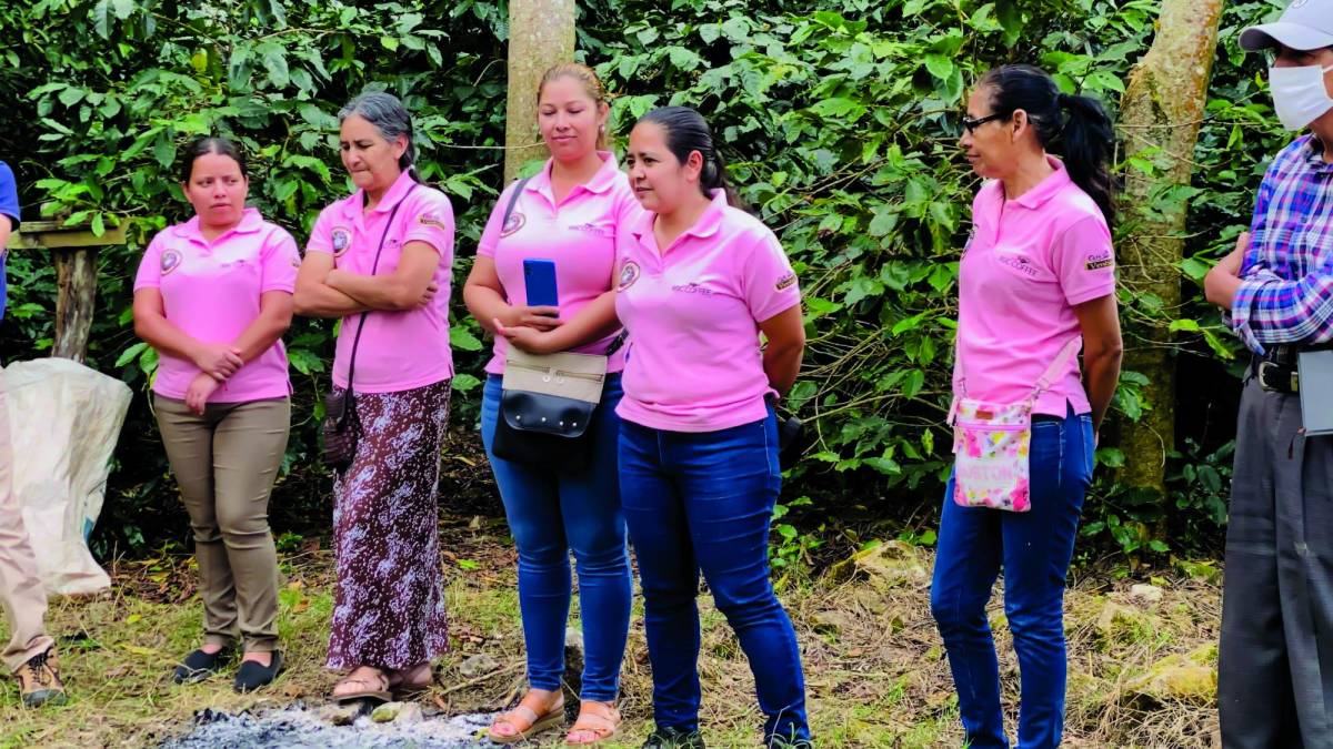 Mujeres dan toque femenino a producción de café en Ocotepeque