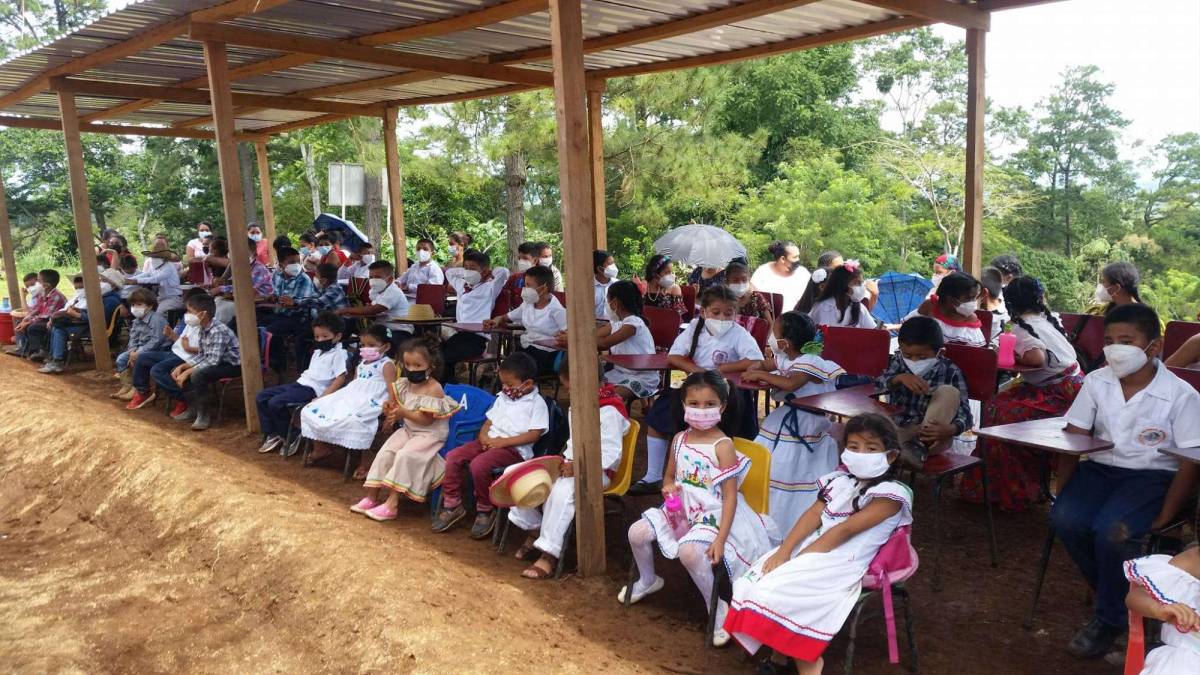 Alcaldía construirá vivero en el predio que había donado a escuela