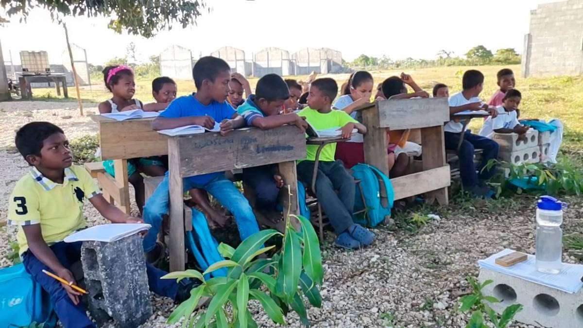 Bajo árboles, niños reciben clases en Gracias a Dios