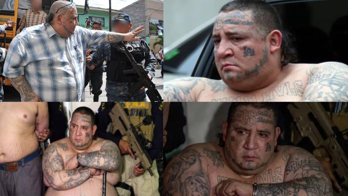 Boxer Huber: el día que lloró, su poderío y violento final