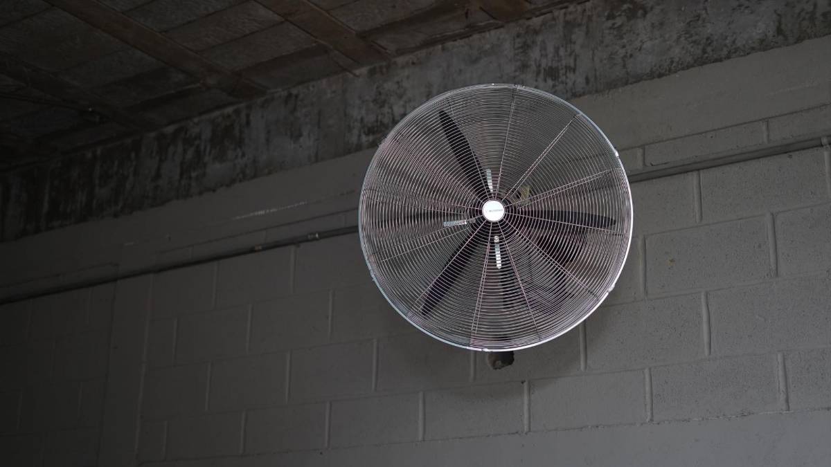 Palco VIP: Pulen el Yankel Rosenthal para la Gran Final,¿qué pasa si no hay luz?