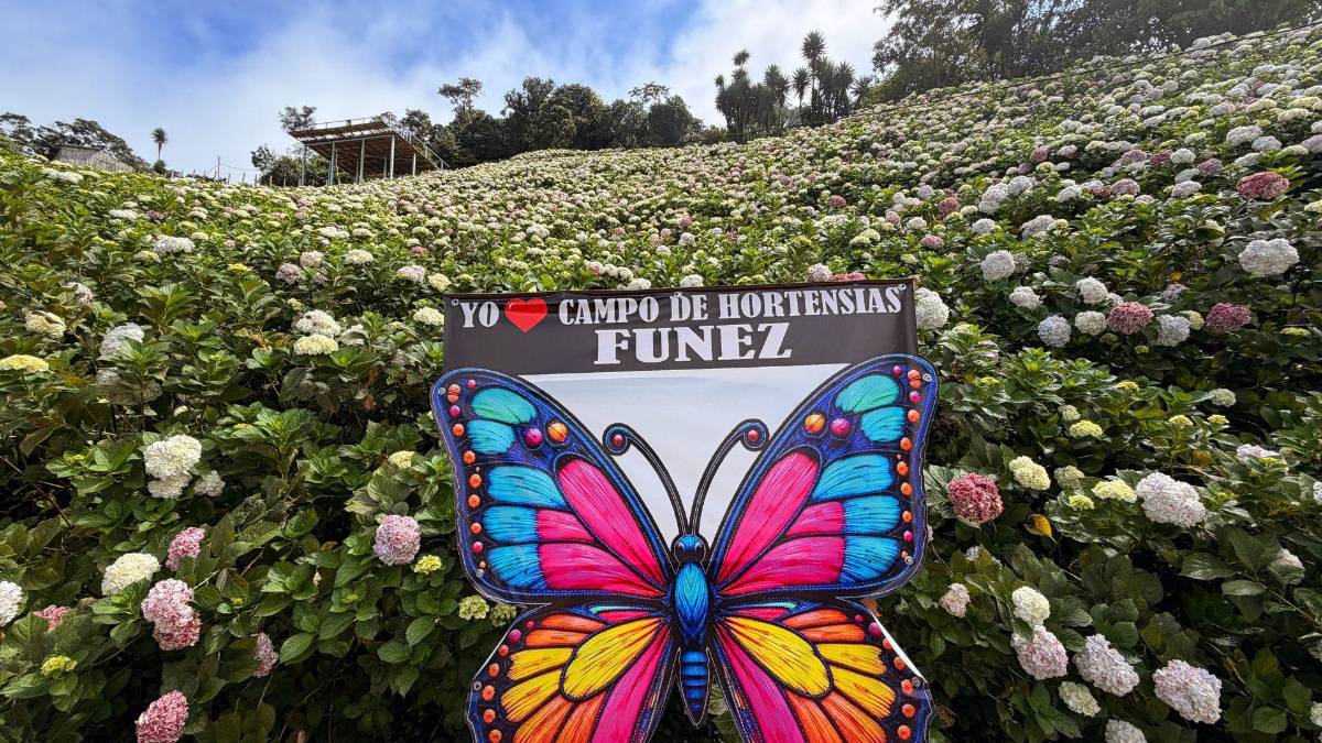 Subir al Cusuco: una aventura que todo sampedrano debe vivir