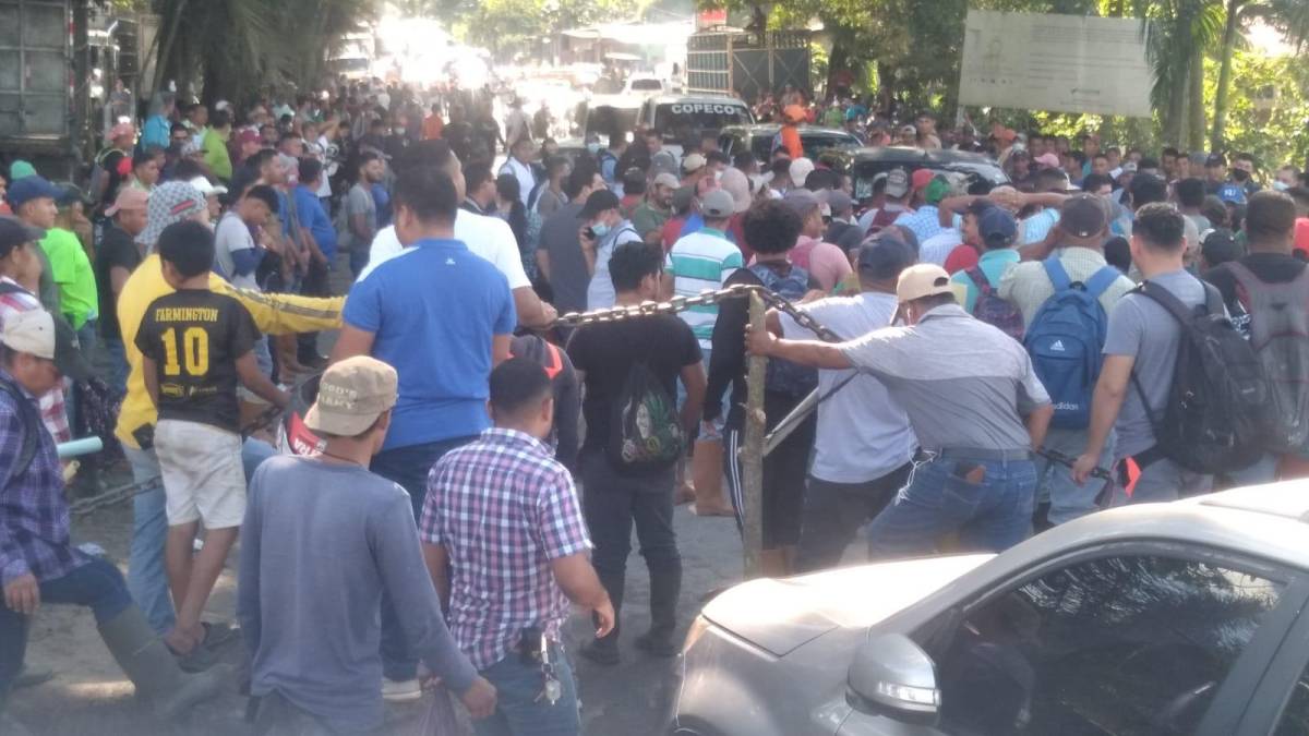 Protesta: trabajadores de Dinant exigen desalojo de invasores
