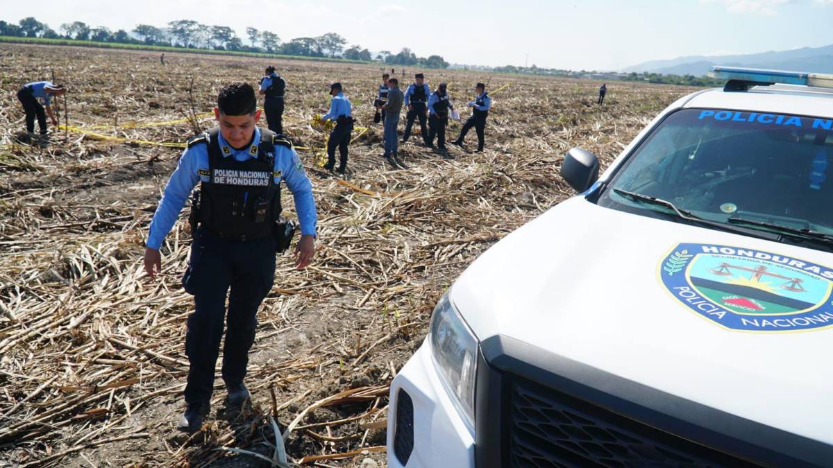 Las autoridades atribuyen la mayoría de asesinatos de este tipo a los grupos criminales organizados, diseminados principalmente en Cortés y Francisco Morazán, los departamentos más violentos de Honduras. 