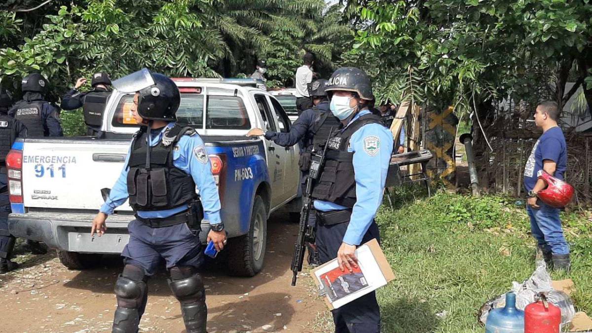 Impiden invasión de finca de palma recuperada en Colón