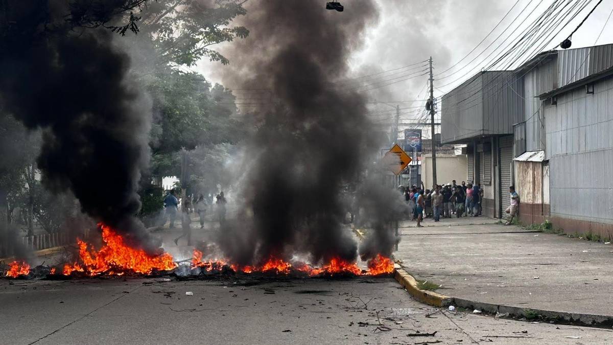 Carreteros protestan y pidenque les regresen sus caballos