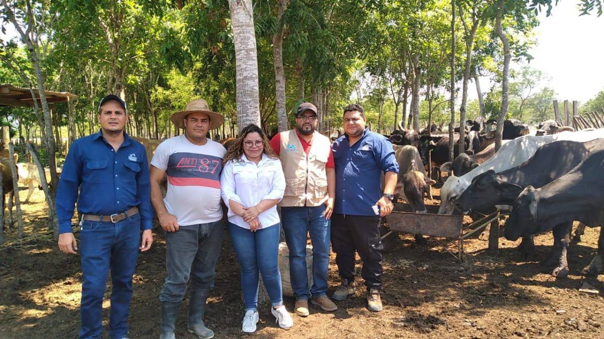 SAG entrega alimentos para ganado a productores en Olanchito