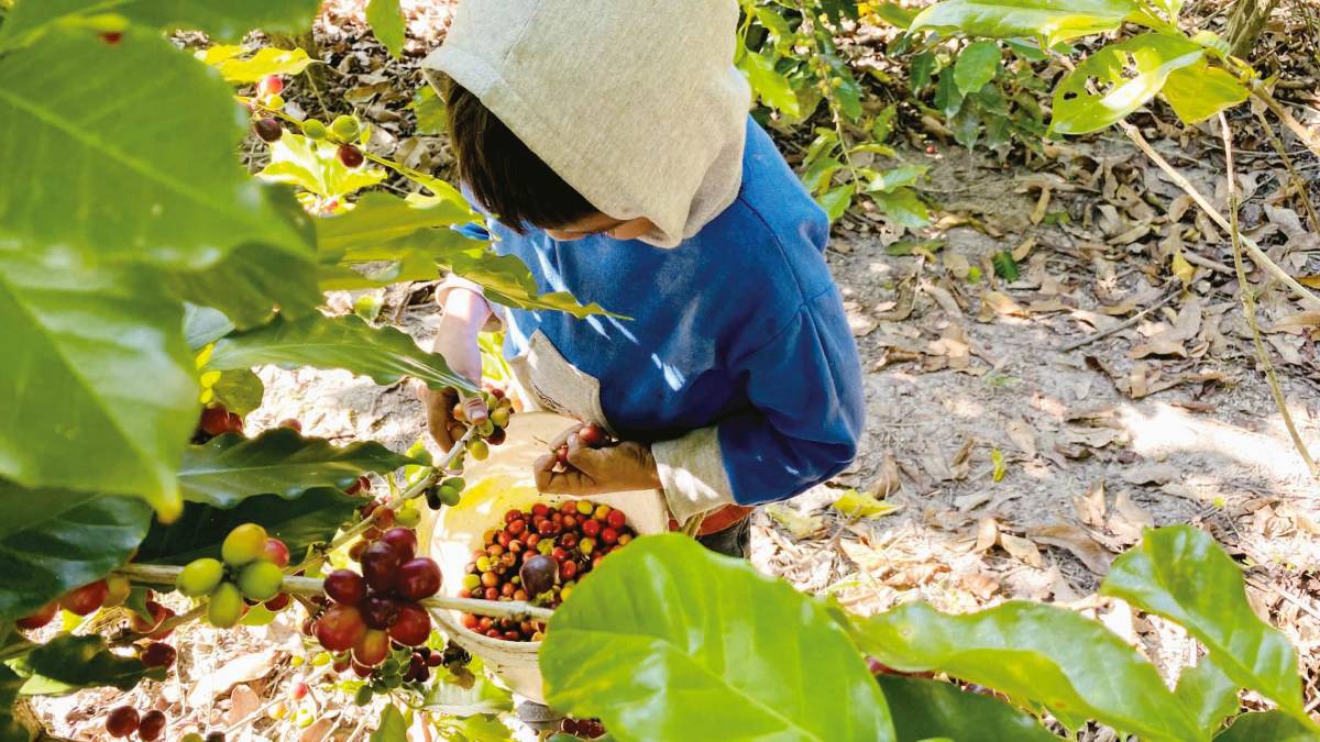 La Cocrebistol es ejemplo de la implementación de centros de cuidado.
