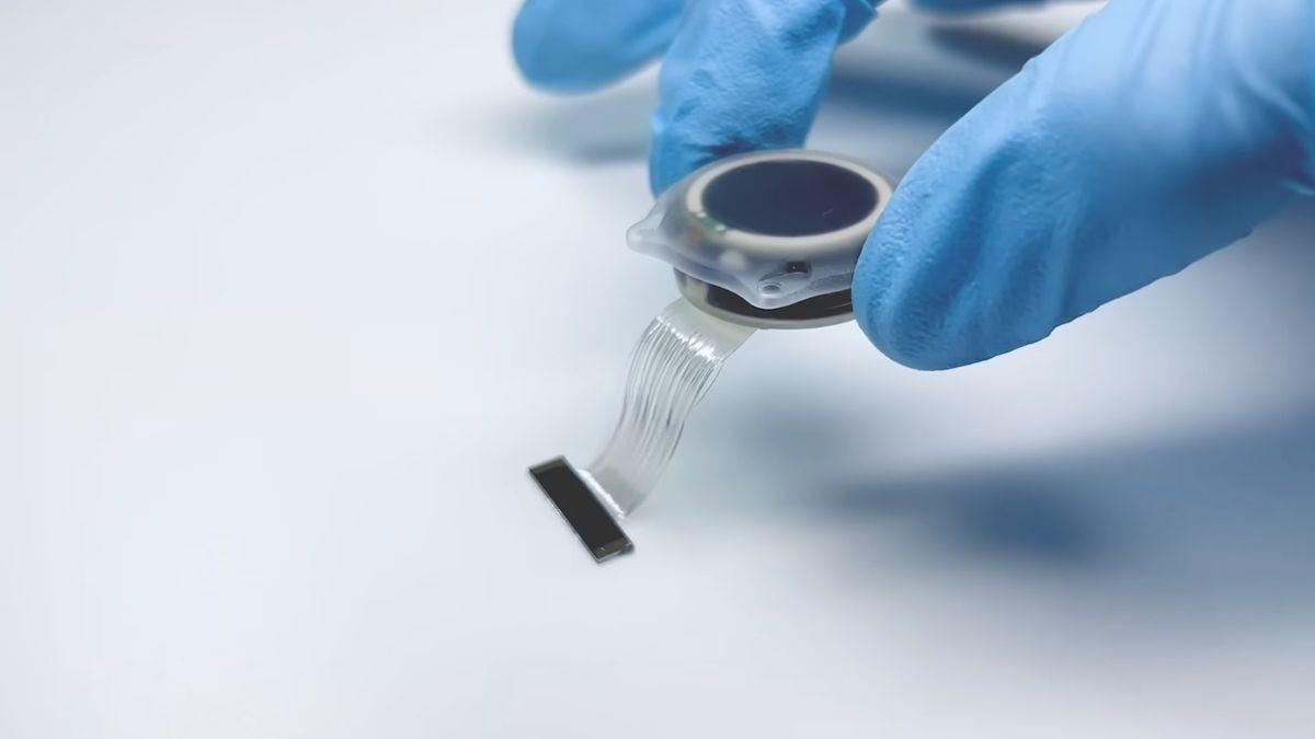 ¿Ver sin ojos? El proyecto de Elon Musk que podría devolver la vista a ciegos de nacimiento