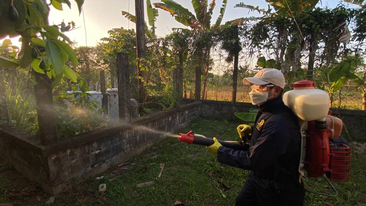 Dengue se dispara en 831% en Atlántida; se registran dos decesos