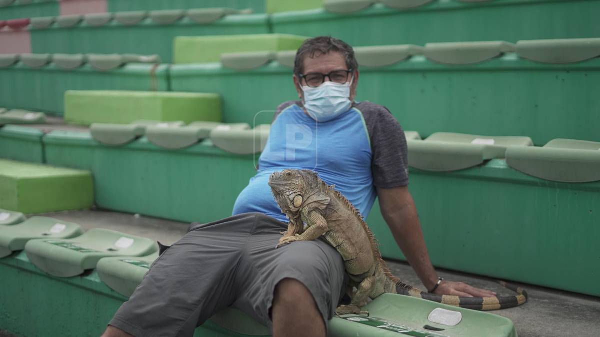 Este aficionado llegó identificado con su peculiar mascota, nada más y nada menos que una iguana.