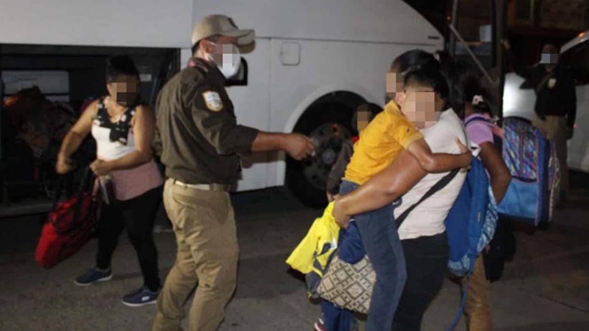 En el reporte, se apuntó que el hallazgo se dio en dos acciones distintas y gracias a denuncias anónimas.