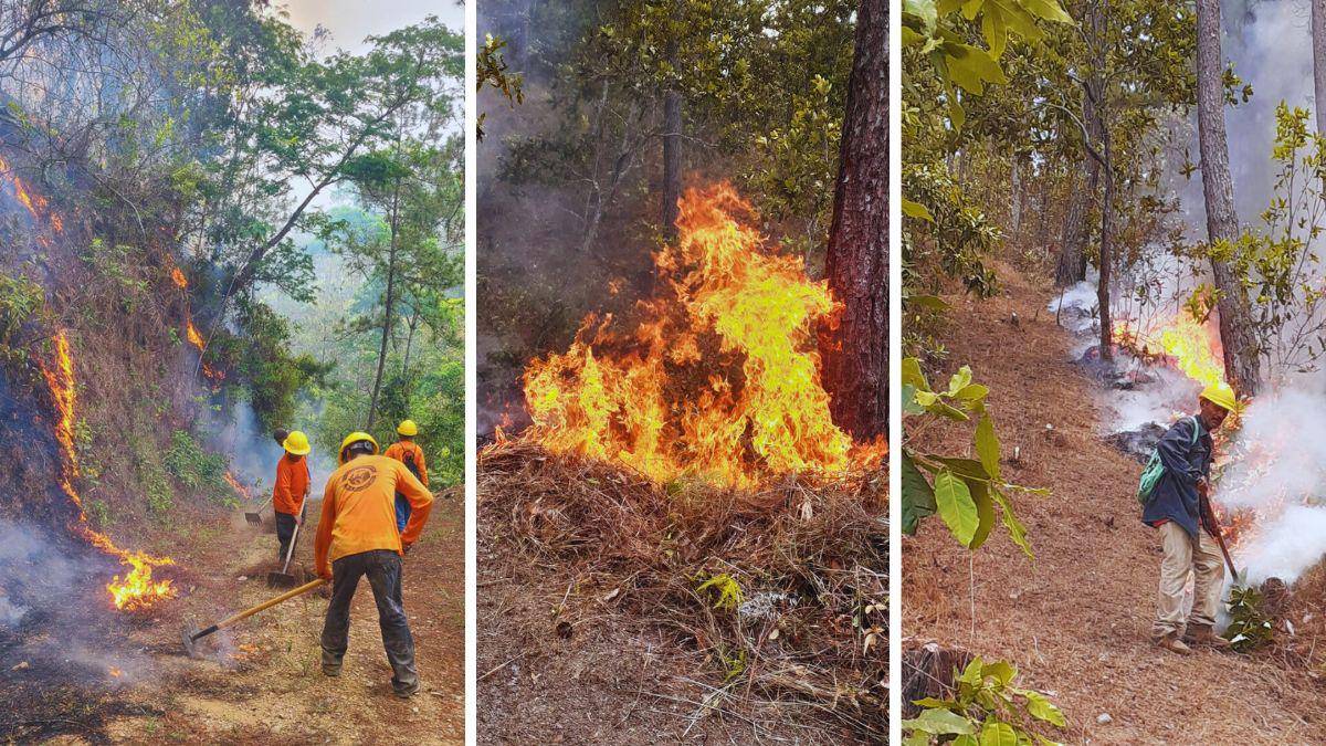 $!<b>El personal apagafuegos realiza rondas para contener el avance de las llamas.</b>