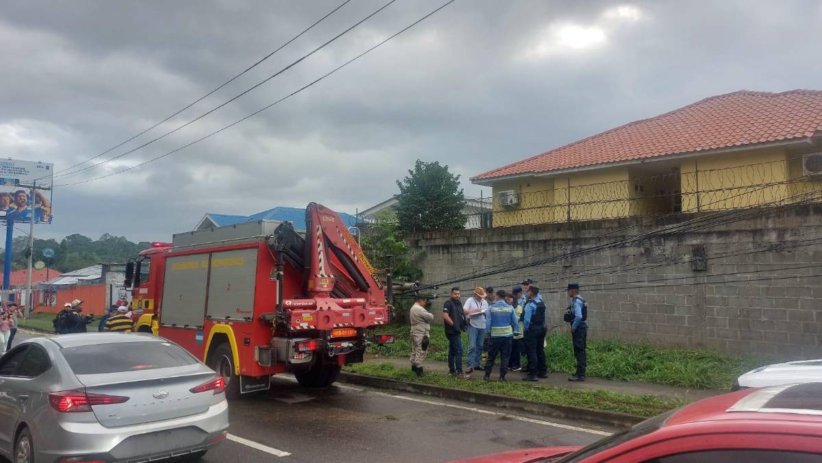 Madrugada mortal: violento impacto deja a ingeniero muerto y atrapado entre el hierro