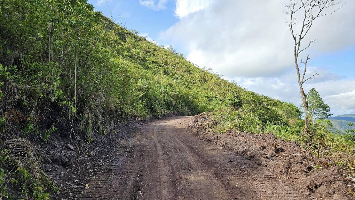 Rehabilitan carretera utilizada por los fundadores de La Ceiba
