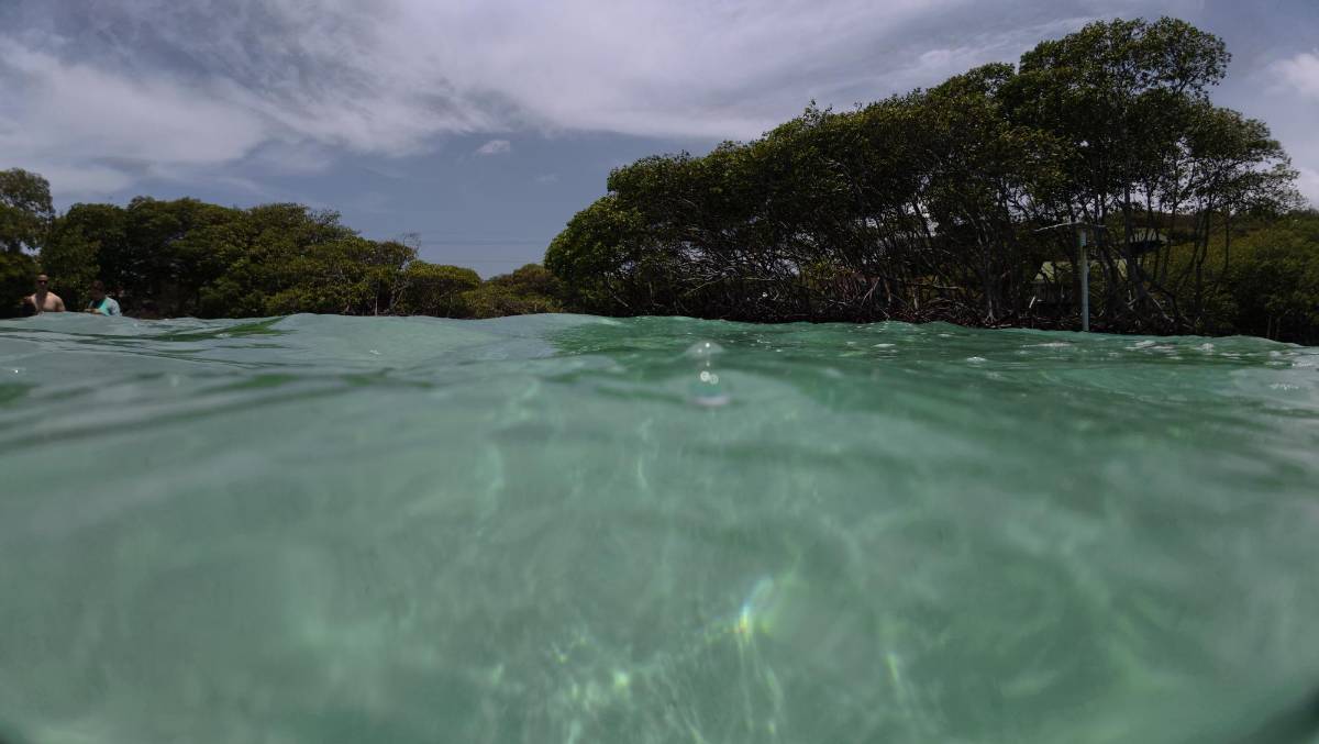 Hotel Media Luna: un lugar que cautiva con su belleza en las playas de Roatán