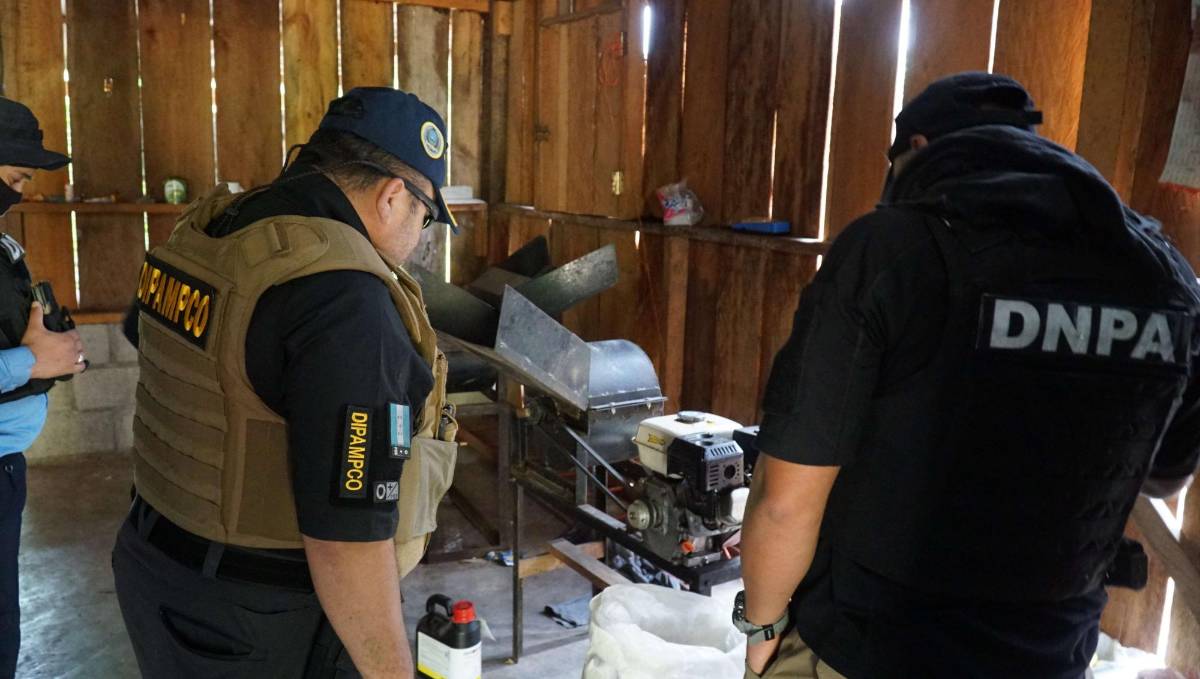 En el aseguramiento de la plantación y del narcolaboratorio estuvieron el director de logística de la Policía, Santos Ochoa, y el jefe de la Dirección Antimaras, Mario Molina.