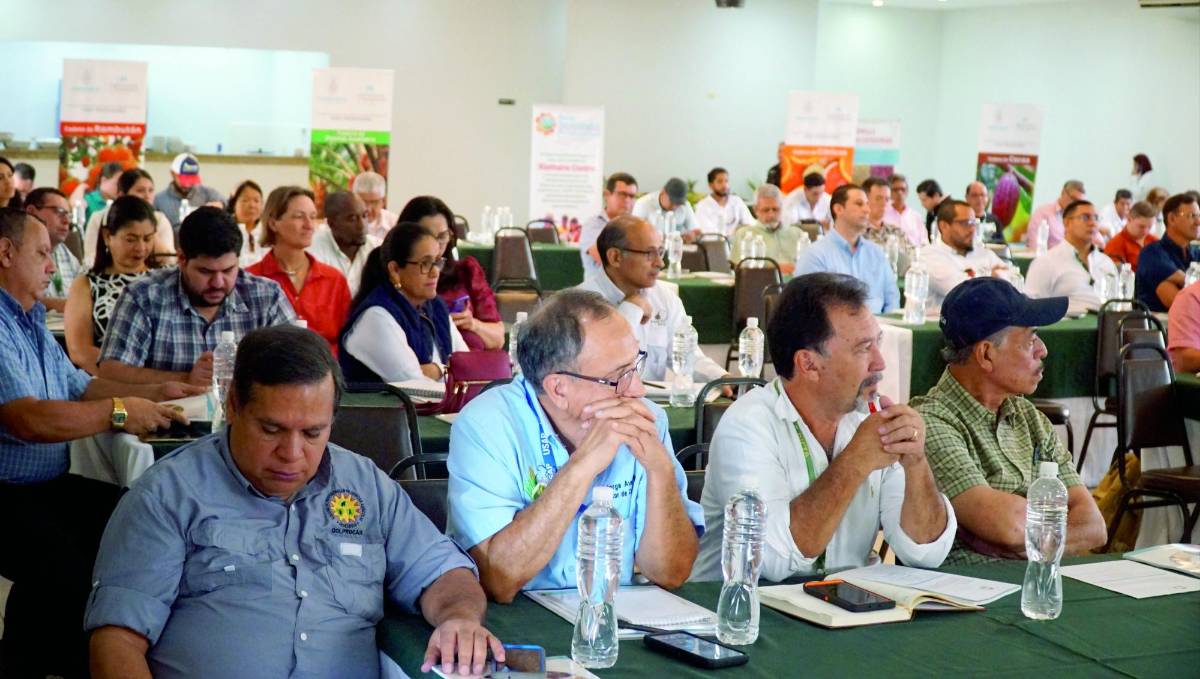 Más de L156,000 millones costará la política del sector agroalimentario