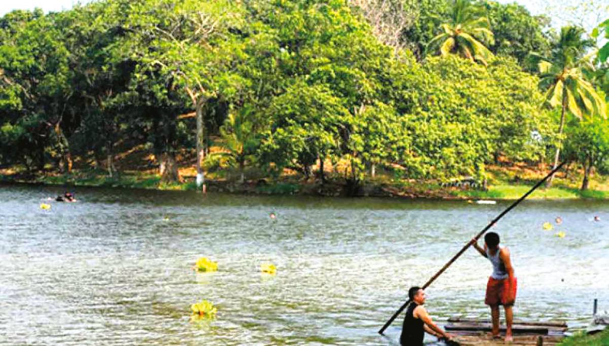 ¿Adónde ir por la mañana y volver casa por la tarde este verano?