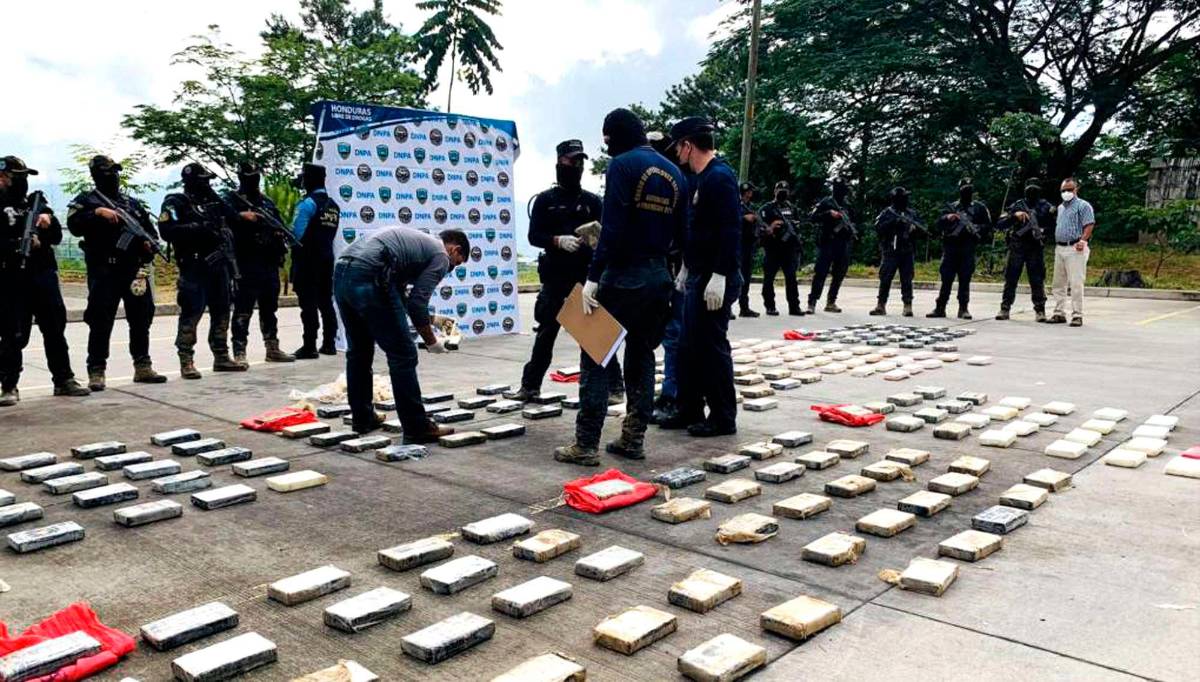 Incautan 212 kilos de cocaína y destruyen sembradíos en Colón