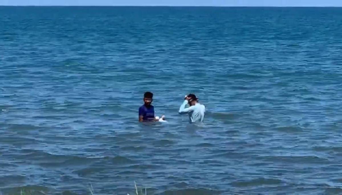 Cosecha de algas, una forma de vida para jóvenes desempleados