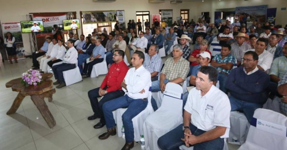 Lanzan el primer laboratorio de mejora genética bovina en Honduras