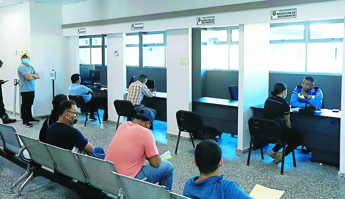 Por manejar ebrios cancelan la licencia a 169 conductores sampedranos