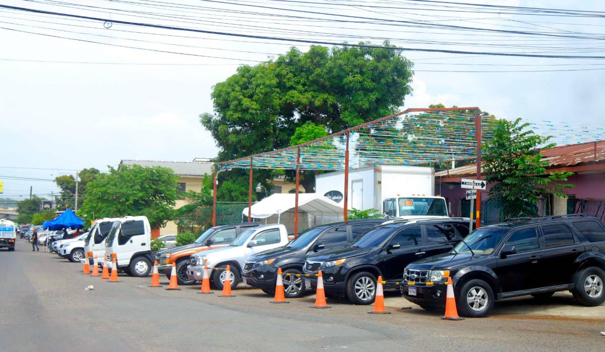 Importadores piden ampliar alivio en el costo del flete