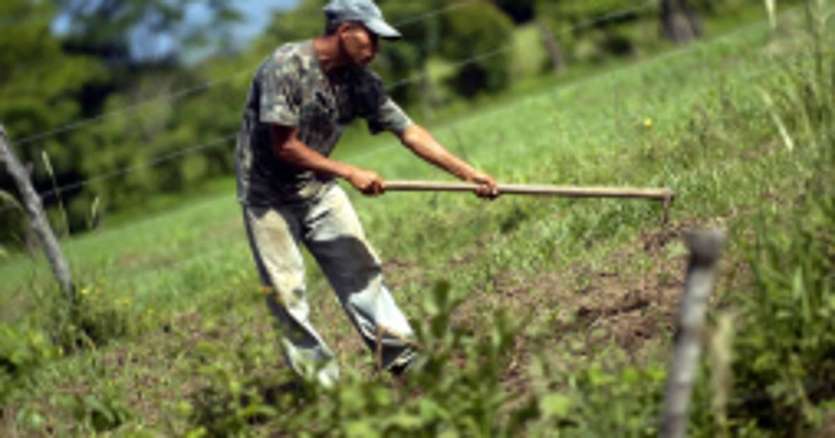 Cohep apoya crear banco de tierras