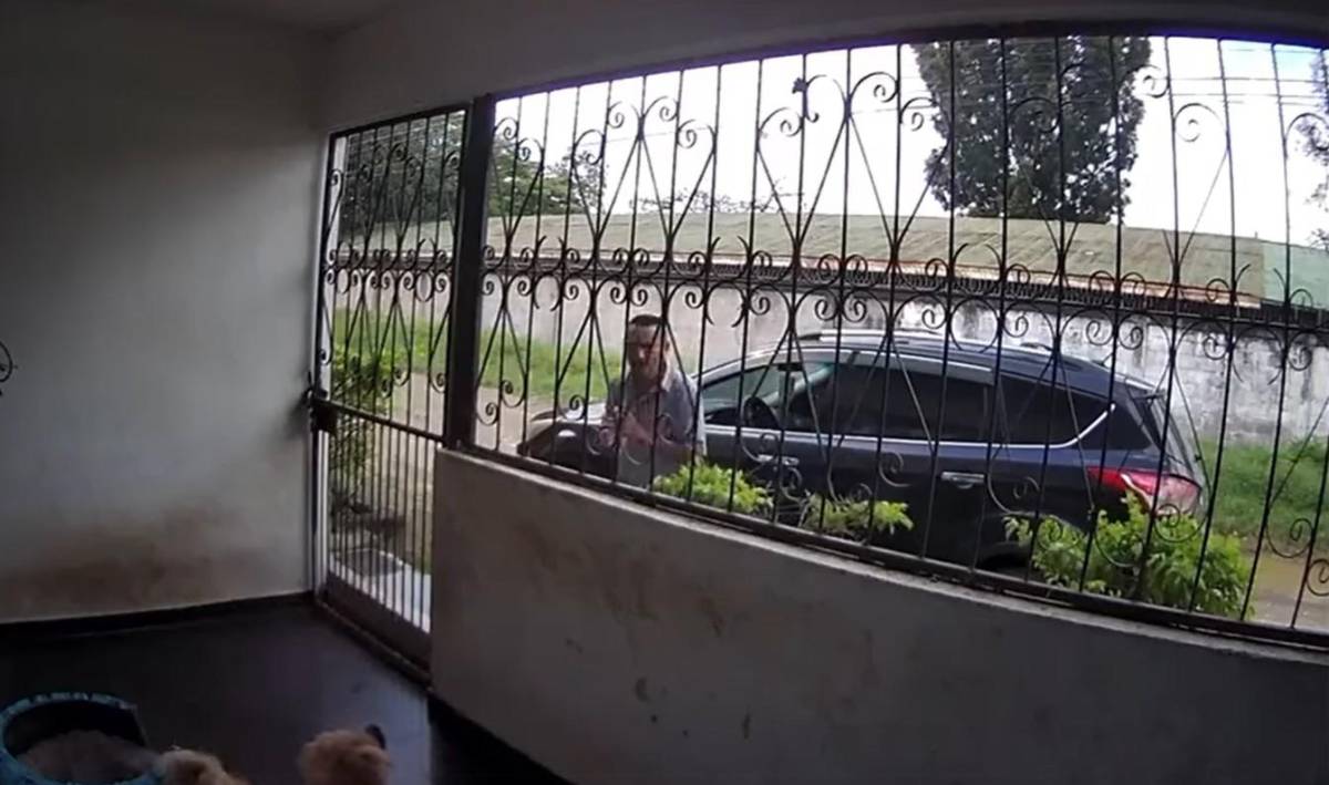 Cae sospechoso de envenenar perros para robar casas en El Progreso