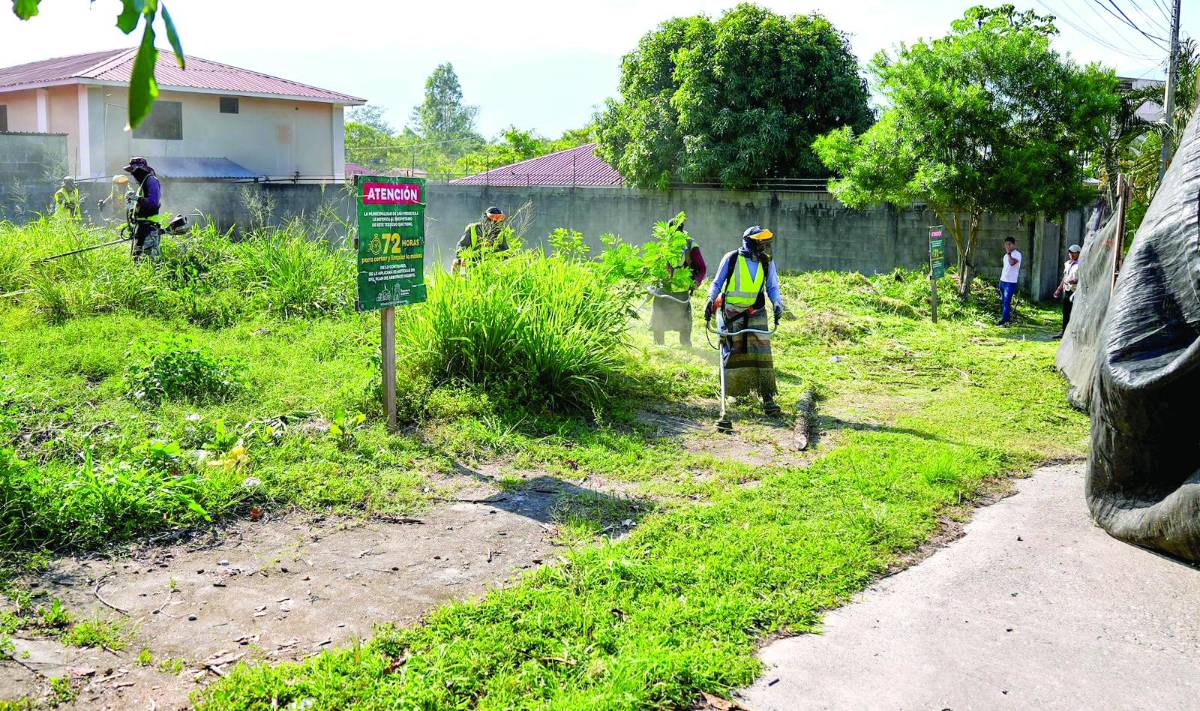 Corporación Municipal: quieren rentar una chipeadora y tractor