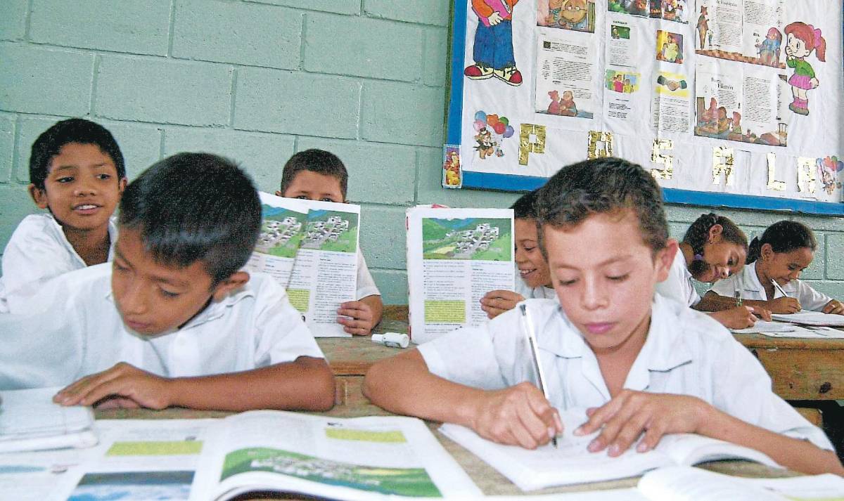 El 60% de alumnos presenta bajo nivel en español